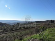 Casa istriana - Buie (03210)