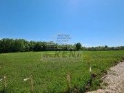 Terreno edificabile - Cittanova (04283)