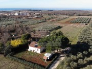 Casa  - Cittanova (05749)