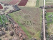 Terreno agricolo - Verteneglio (05681)