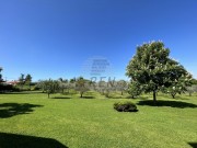 Casa - Verteneglio (04934)
