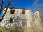 Casa istriana - Buie (04429)