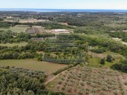 Terreno agricolo  - Buie (05033)