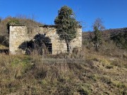 Casa istriana  - Buie (05416)