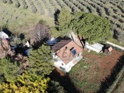 Casa - Cittanova (05749)