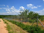 Terreno agricolo - Cittanova (04710)