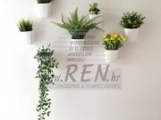 Appartamento - Cittanova (05491)