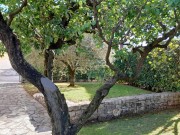 Casa istriana - Cittanova (05613)