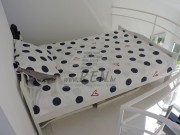 Appartamento - Cittanova (03260)