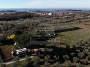 Casa - Cittanova (05749)