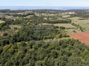 Terreno agricolo - Umago (05022)