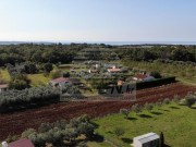 Terreno agricolo - Cittanova (03804)