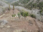 Casa istriana - Buie (05232)