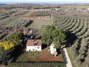 Casa - Cittanova (05749)