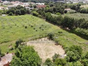 Terreno edificabile - Cittanova (04966)