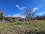 Casa istriana - Buie (05229)