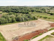 Terreno agricolo - Verteneglio (05690)