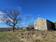 Casa istriana - Buie (05229)