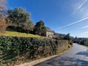 Casa istriana - Grožnjan (05621)