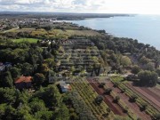 Terreno edificabile  - Umago (03843)