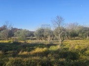 Terreno edificabile - Buie (05633)