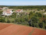 Terreno edificabile - Cittanova (04176)