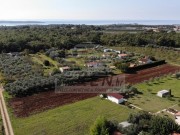 Terreno agricolo - Cittanova (03804)