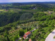 Casa istriana - Buie (04490)