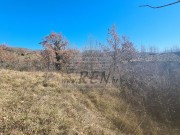 Casa istriana - Buie (04429)