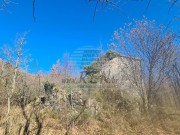 Casa istriana - Buie (04429)
