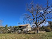 Casa istriana  - Buie (05229)