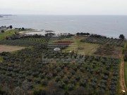 Terreno edificabile  - Umago (04899)