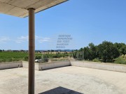 Casa  - Cittanova (05737)