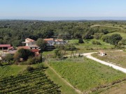 Terreno edificabile - Verteneglio (05587)