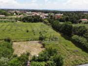 Terreno edificabile - Cittanova (04966)