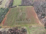 Terreno agricolo - Verteneglio (05682)