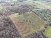 Terreno agricolo - Verteneglio (05682)