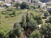 Terreno edificabile - Verteneglio (03948)