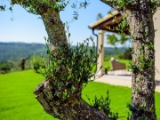 Villa - Buie (03366)