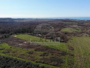 Terreno agricolo - Cittanova (05237)