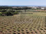 Terreno agricolo - Cittanova (05060)