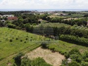 Terreno edificabile  - Cittanova (04966)