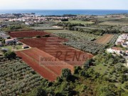 Terreno edificabile  - Cittanova (04176)