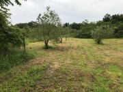 Casa - Medulin (05447)