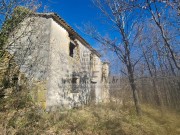 Casa istriana - Buie (04429)