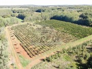 Terreno agricolo - Verteneglio (05682)