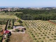 Casa - Cittanova (04964)