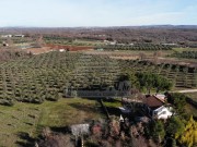 Casa - Cittanova (05749)