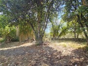 Casa istriana - Buie (05750)