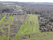 Terreno agricolo - Cittanova (05237)